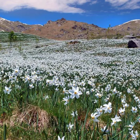 Ferienhaus Locazione Turistica Casa Piatrola